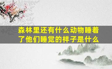 森林里还有什么动物睡着了他们睡觉的样子是什么