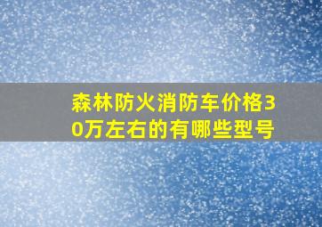 森林防火消防车价格30万左右的有哪些型号