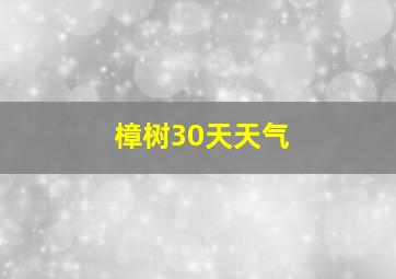 樟树30天天气