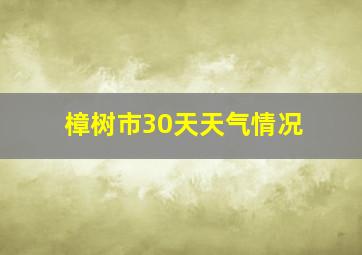 樟树市30天天气情况