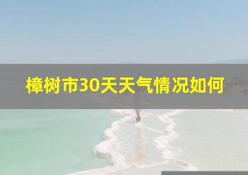 樟树市30天天气情况如何