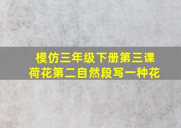 模仿三年级下册第三课荷花第二自然段写一种花