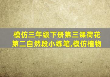 模仿三年级下册第三课荷花第二自然段小练笔,模仿植物