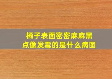 橘子表面密密麻麻黑点像发霉的是什么病图