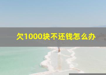 欠1000块不还钱怎么办