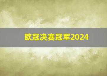 欧冠决赛冠军2024