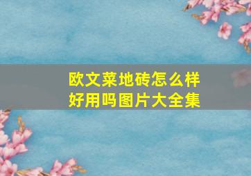 欧文菜地砖怎么样好用吗图片大全集