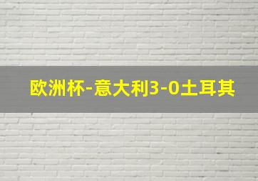 欧洲杯-意大利3-0土耳其