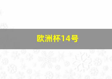 欧洲杯14号