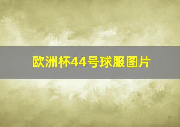 欧洲杯44号球服图片