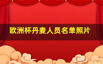 欧洲杯丹麦人员名单照片