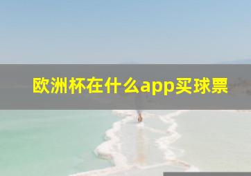 欧洲杯在什么app买球票