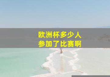 欧洲杯多少人参加了比赛啊