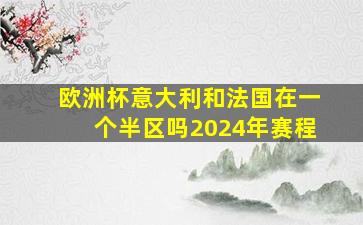 欧洲杯意大利和法国在一个半区吗2024年赛程