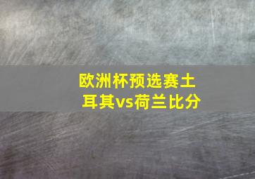 欧洲杯预选赛土耳其vs荷兰比分