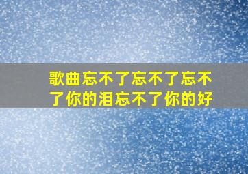 歌曲忘不了忘不了忘不了你的泪忘不了你的好