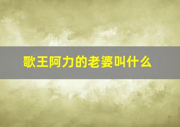 歌王阿力的老婆叫什么