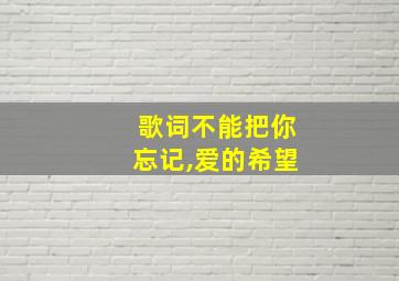 歌词不能把你忘记,爱的希望