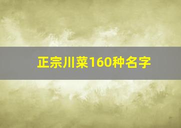 正宗川菜160种名字