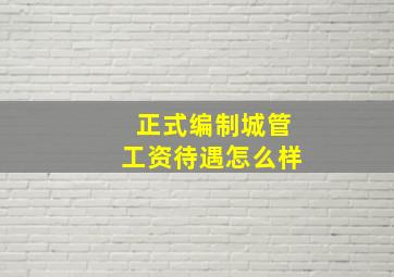 正式编制城管工资待遇怎么样