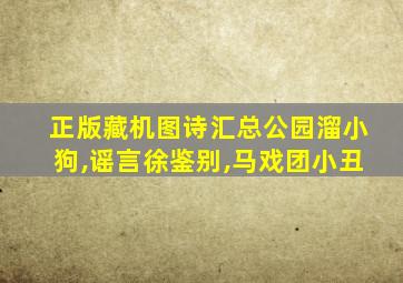 正版藏机图诗汇总公园溜小狗,谣言徐鉴别,马戏团小丑