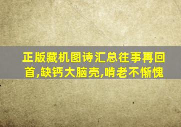 正版藏机图诗汇总往事再回首,缺钙大脑壳,啃老不惭愧