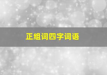 正组词四字词语