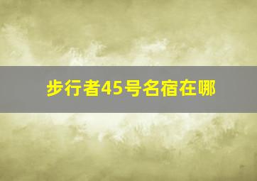 步行者45号名宿在哪