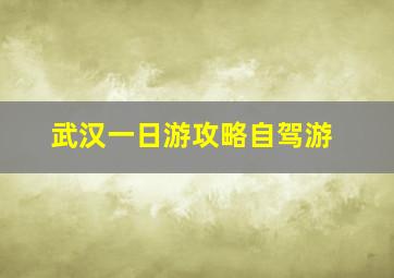 武汉一日游攻略自驾游