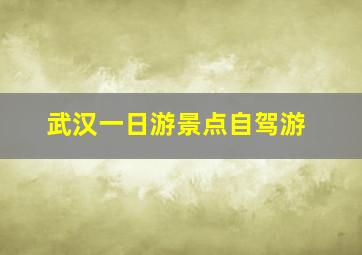 武汉一日游景点自驾游