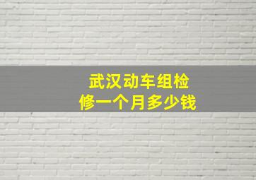 武汉动车组检修一个月多少钱