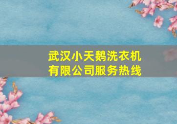 武汉小天鹅洗衣机有限公司服务热线