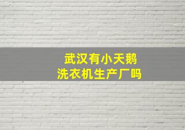 武汉有小天鹅洗衣机生产厂吗