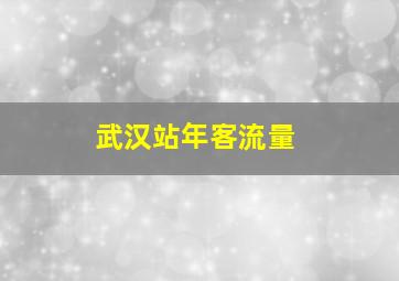 武汉站年客流量