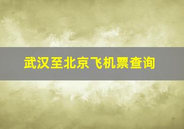 武汉至北京飞机票查询