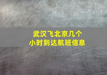 武汉飞北京几个小时到达航班信息