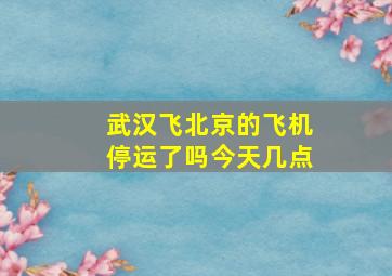 武汉飞北京的飞机停运了吗今天几点