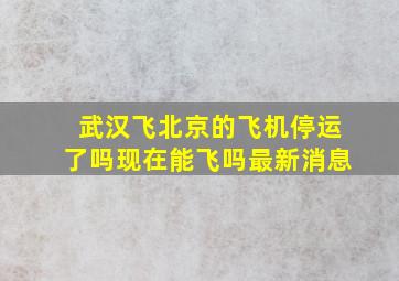 武汉飞北京的飞机停运了吗现在能飞吗最新消息