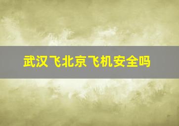 武汉飞北京飞机安全吗