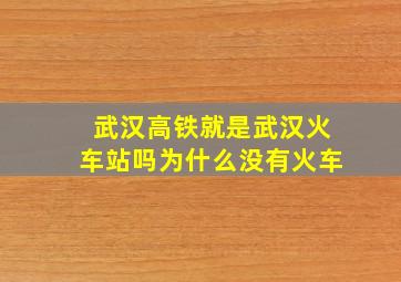 武汉高铁就是武汉火车站吗为什么没有火车