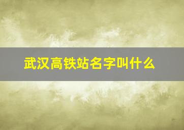 武汉高铁站名字叫什么