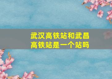 武汉高铁站和武昌高铁站是一个站吗