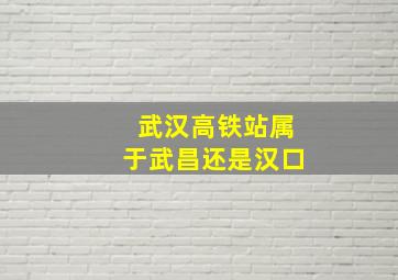 武汉高铁站属于武昌还是汉口