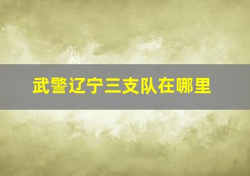 武警辽宁三支队在哪里