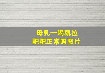 母乳一喝就拉粑粑正常吗图片