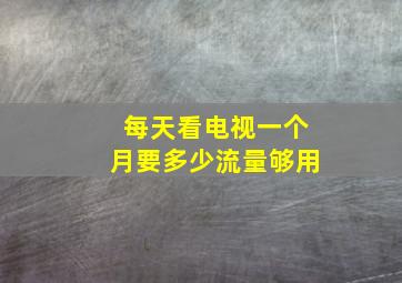 每天看电视一个月要多少流量够用