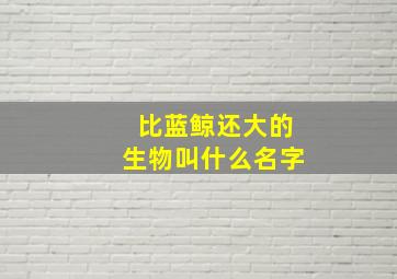 比蓝鲸还大的生物叫什么名字