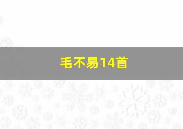 毛不易14首