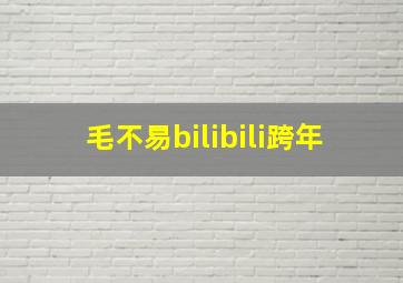 毛不易bilibili跨年