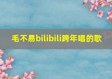 毛不易bilibili跨年唱的歌